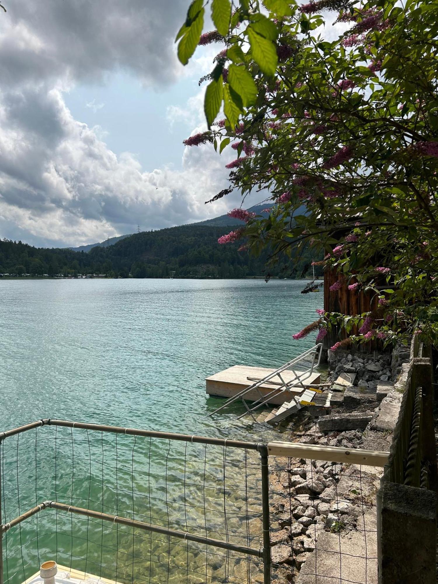 Seerose Walchensee Dış mekan fotoğraf