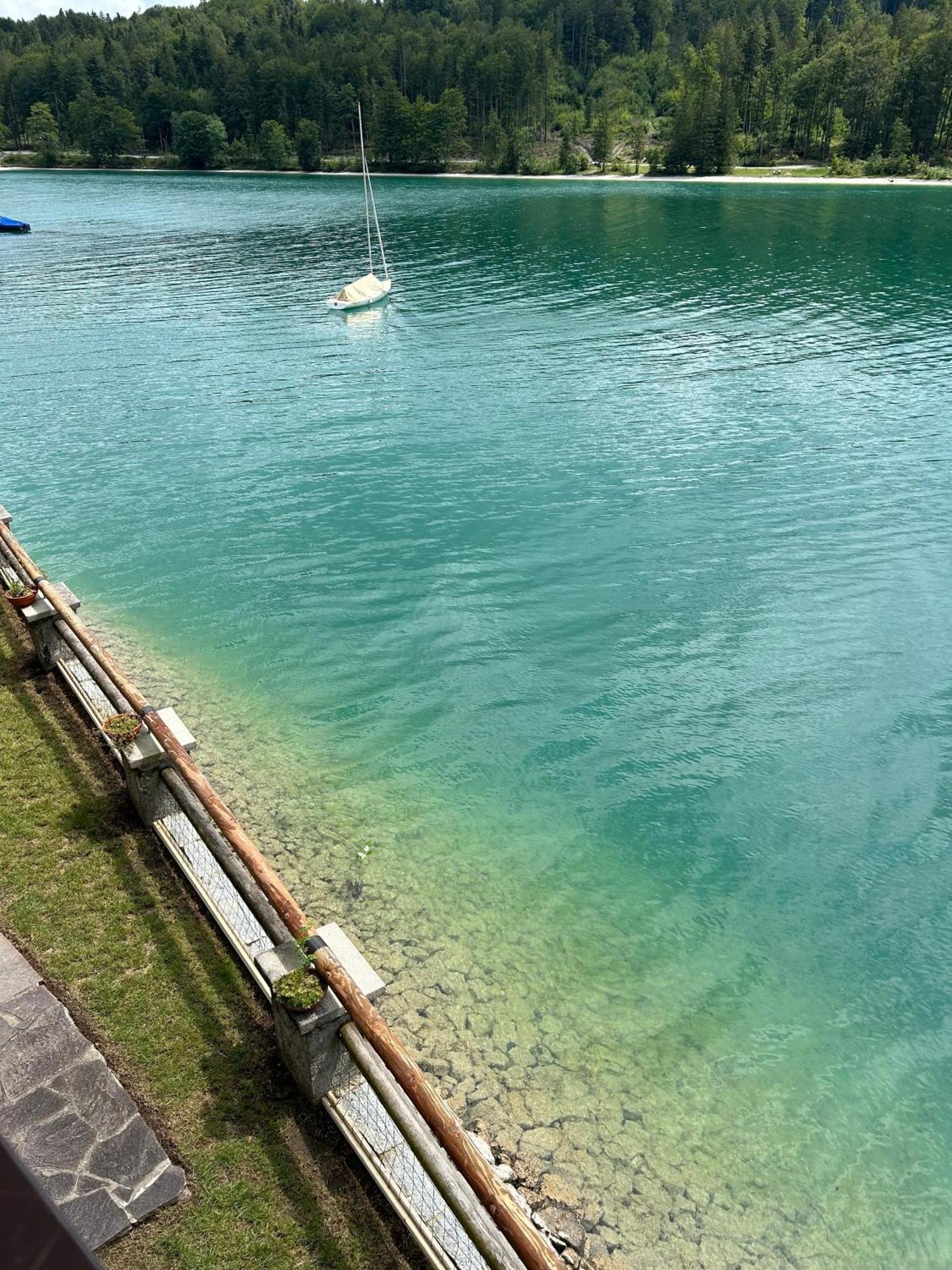 Seerose Walchensee Dış mekan fotoğraf